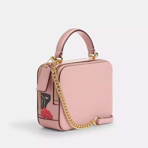 NWT💃Coach Coach X Tom Wesselmann Box Crossbody Bag - Picture 10 of 14